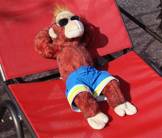 Monkey Sunbathing