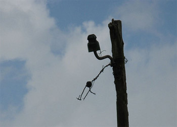 Telephone Pole