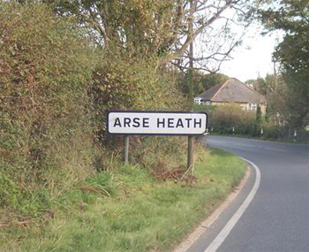 Arse Heath