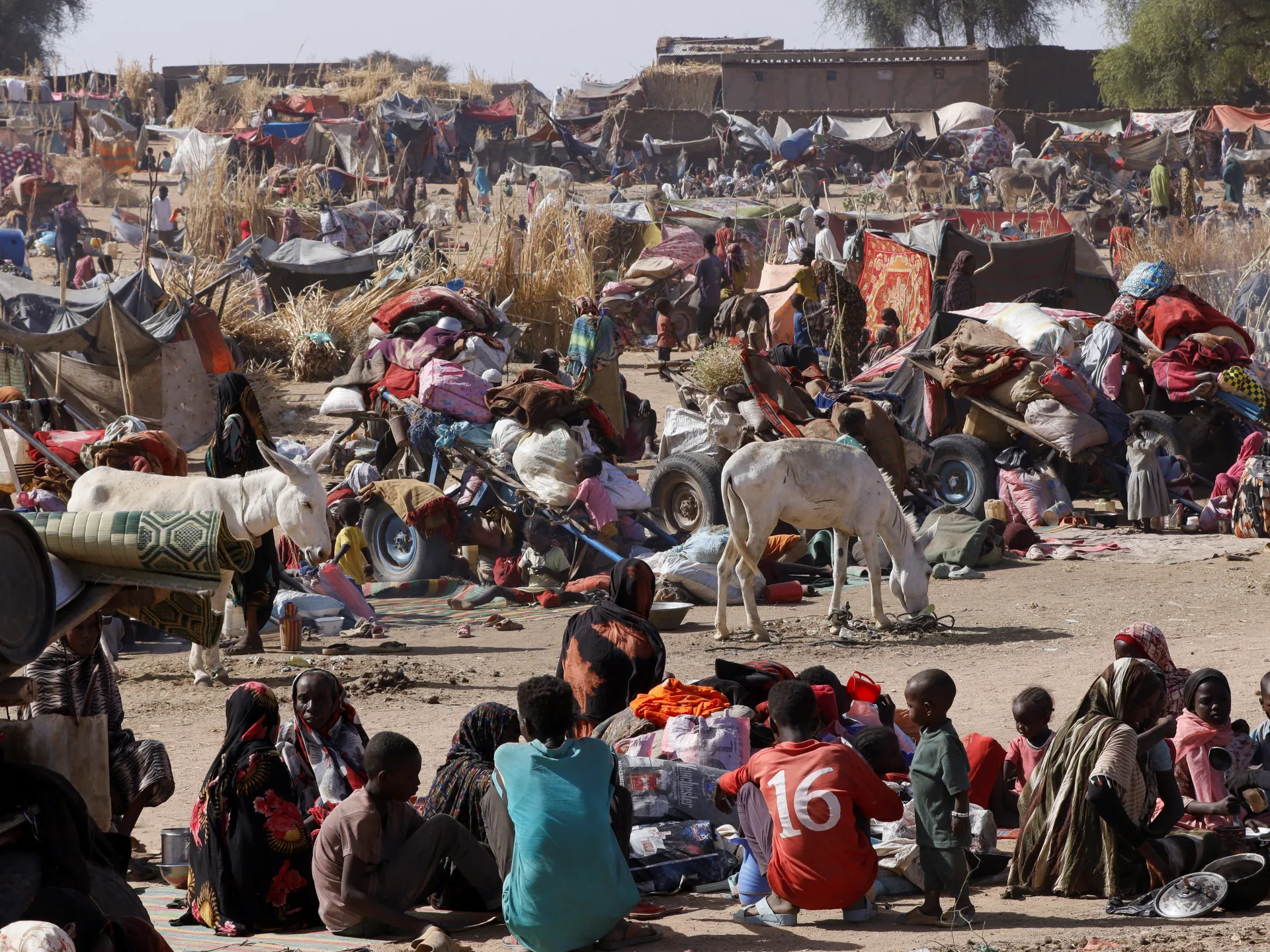 Amnesty calls for war crimes probe after RSF attack on Sudan refugee camp Amnesty calls for war crimes probe after RSF attack on Sudan refugee camp