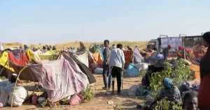 Amnesty calls for war crimes probe after RSF attack on Sudan refugee camp