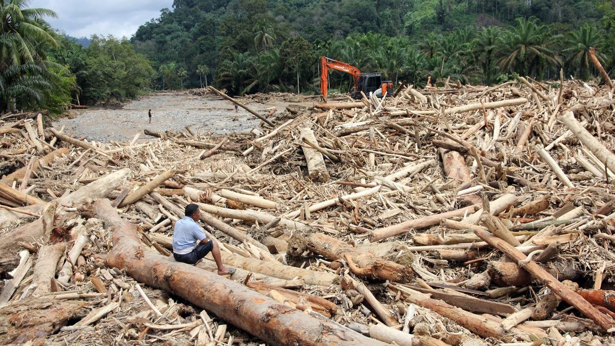 Sumatra cross logs to reach aid centers as flood deaths pass 900 Sumatra cross logs to reach aid centers as flood deaths pass 900