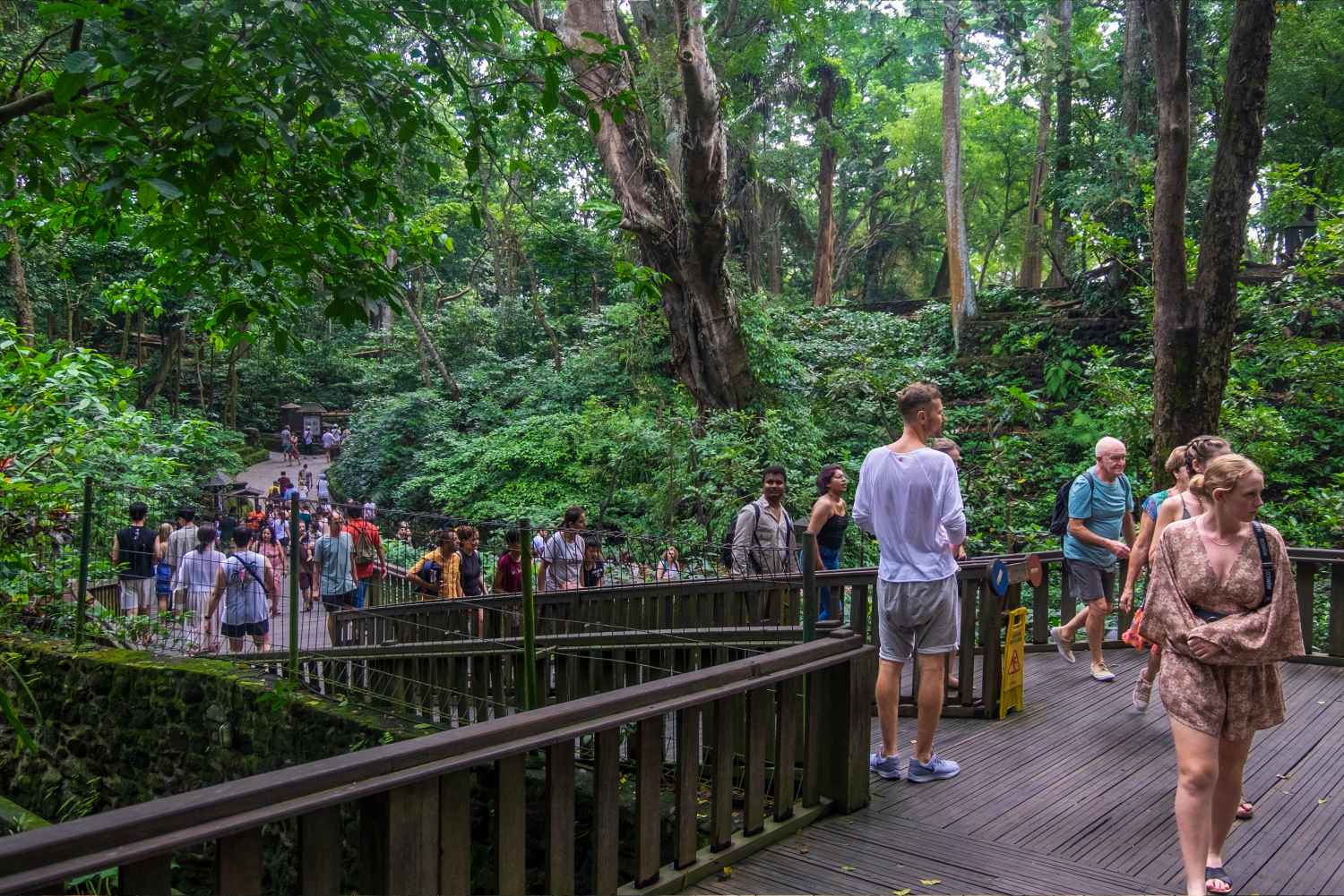 Bali’s Monkey Forest Tightens Safety Measures After Visitor Incident Bali’s Monkey Forest Tightens Safety Measures After Visitor Incident